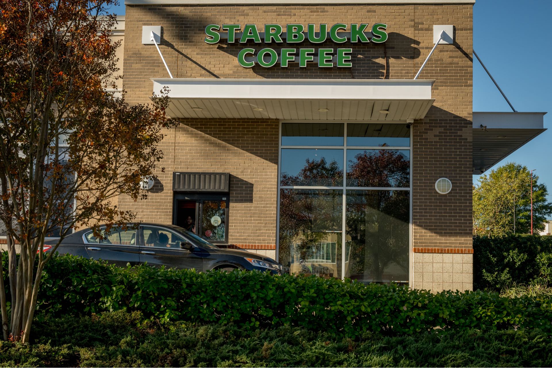 Margaux_Neighborhood_Starbucks_Kittner_Dec2023
